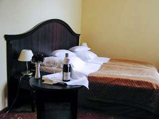 Отель Hotel Zamek Rydzyna Рыдзына Двухместный номер с 1 кроватью или 2 отдельными кроватями-2