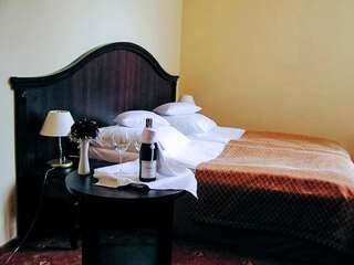 Отель Hotel Zamek Rydzyna Рыдзына Двухместный номер с 1 кроватью или 2 отдельными кроватями-6