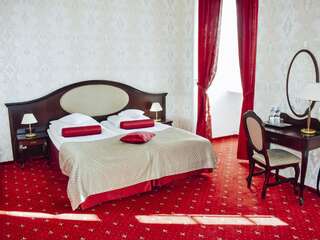 Отель Hotel Zamek Rydzyna Рыдзына Большой двухместный номер с 1 кроватью-2